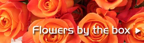 (image for) PDX Whsle Florist - Flowers by the box