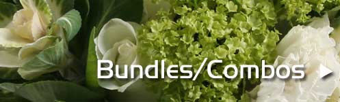 (image for) PDX Whsle Florist - Bundles/Combos