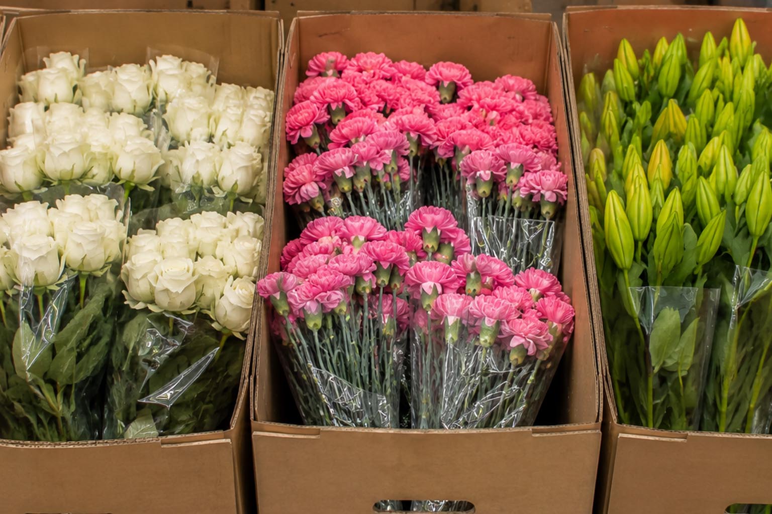 (image for) Grower Direct Flowers by the Box