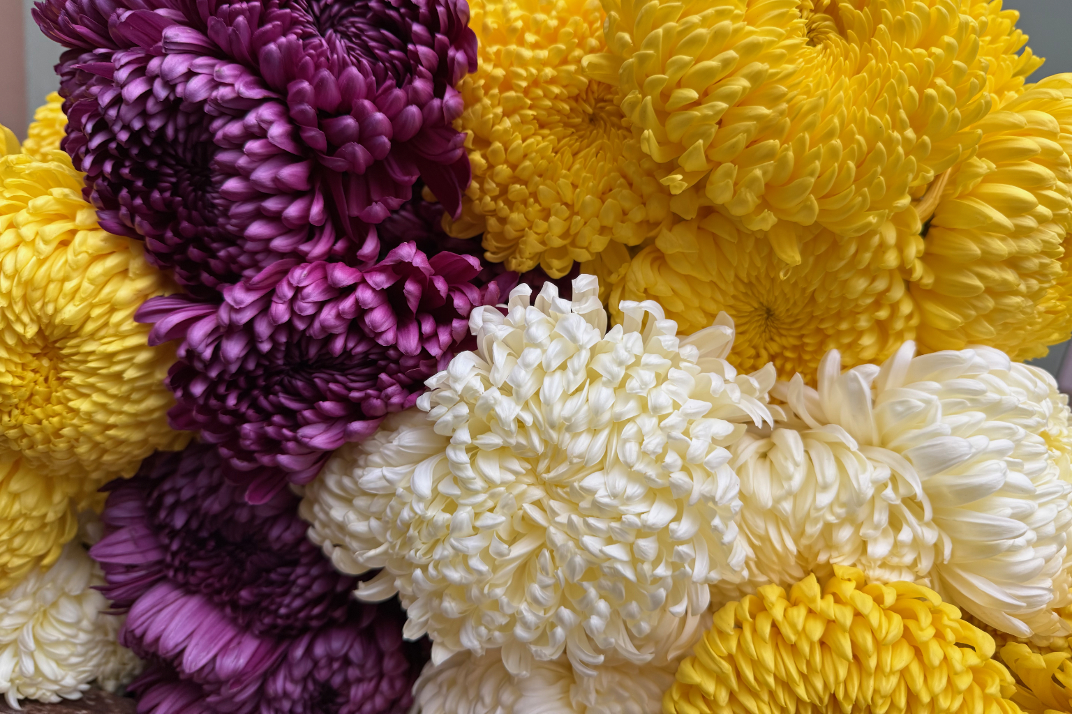 (image for) Football Mums by the Box