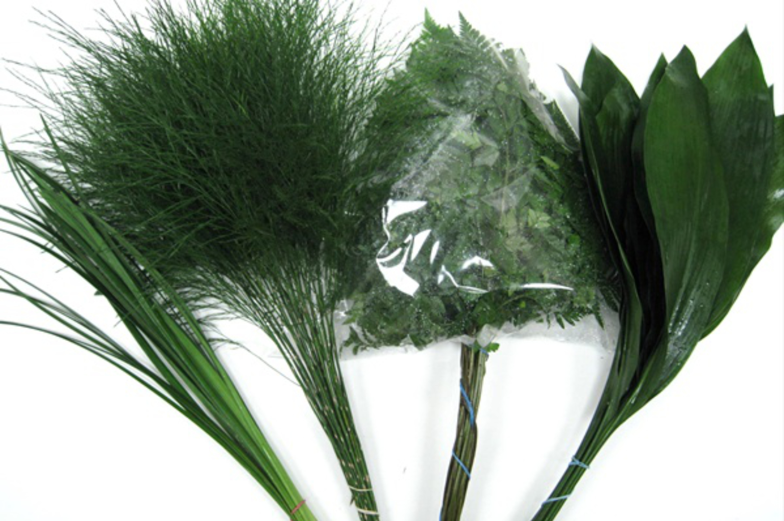 (image for) Greens Bundles
