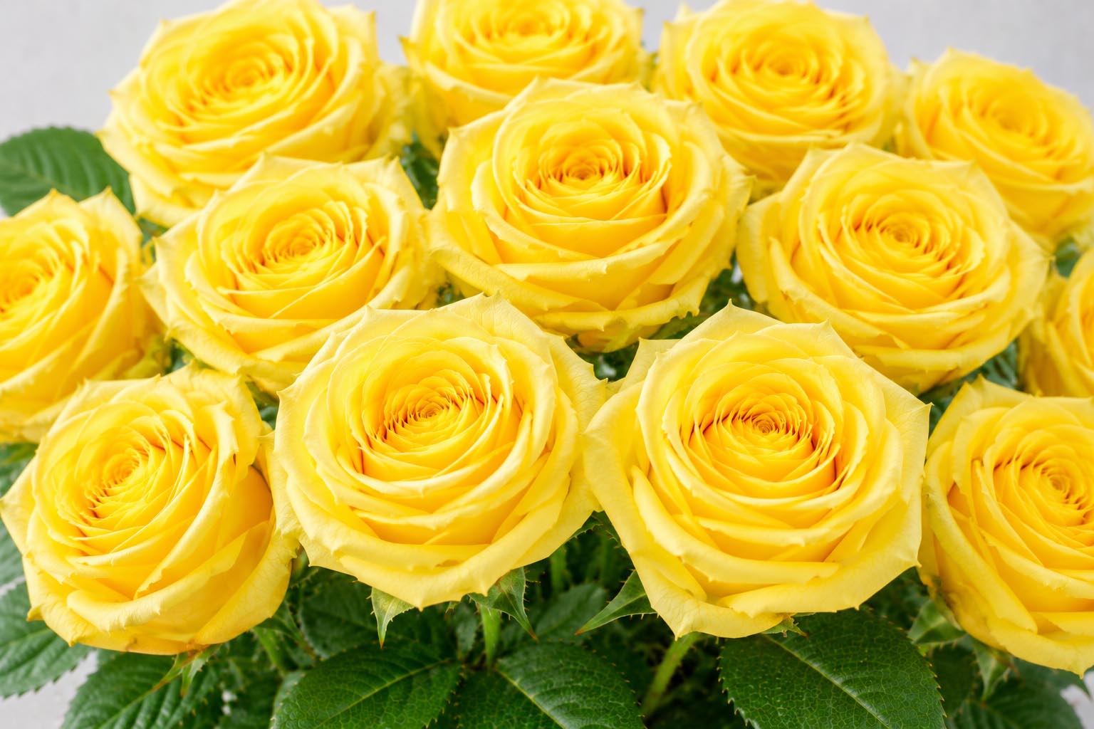 (image for) Yellow