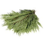 (image for) Cedar - 10 lb Bundle
