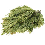 (image for) Incense Cedar - 10 lb Bundle
