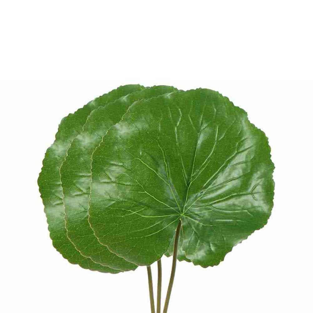(image for) Galax
