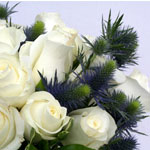 Simple Elegance - Roses and Eryngium