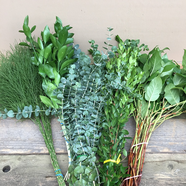 Arrangement Starter Greens Bundle