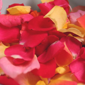 Rose Petals - Half Gallon - Click Image to Close