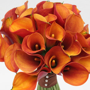 Modal Additional Images for Stunning Calla Bridal Flowers