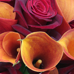 Rose and Calla Bridal Flowers - Click Image to Close