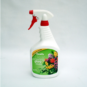 (image for) Crowning Glory - Quart Spray