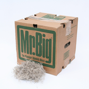 (image for) Spanish Moss - 4 Pound Box