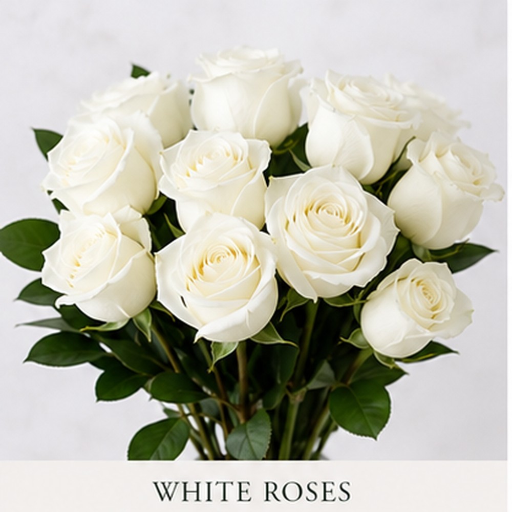 White Roses