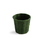 Mache - Green Jardinier 4J